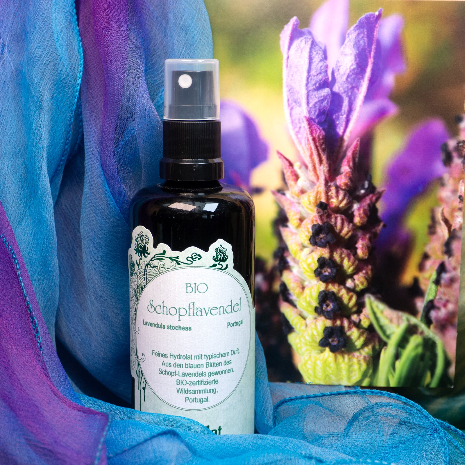 Hydrolat mit Schopflavendel