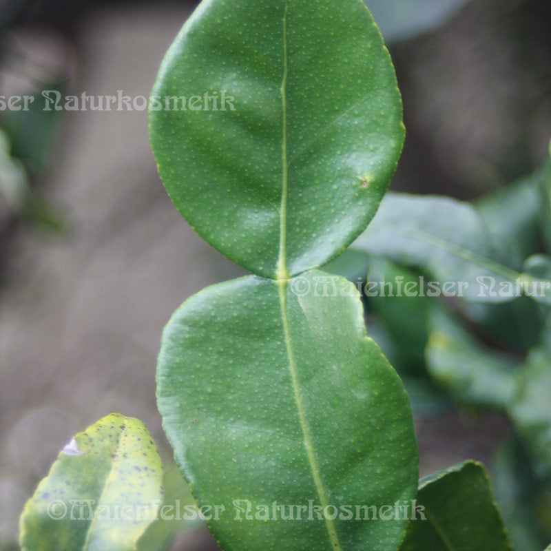 Combava-Petitgrain (10 ml)