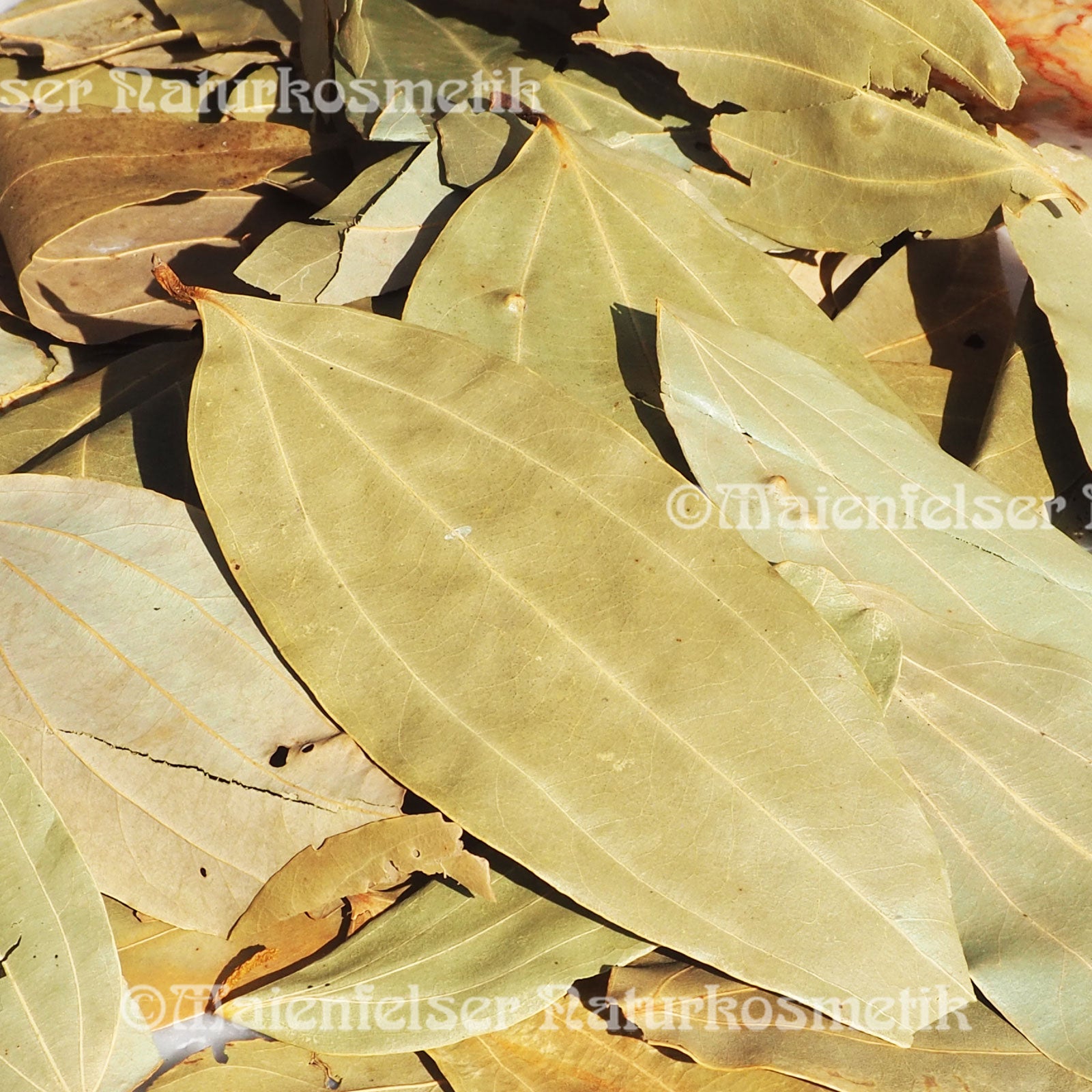 Tamala BIO (Tejpath) (5 ml)