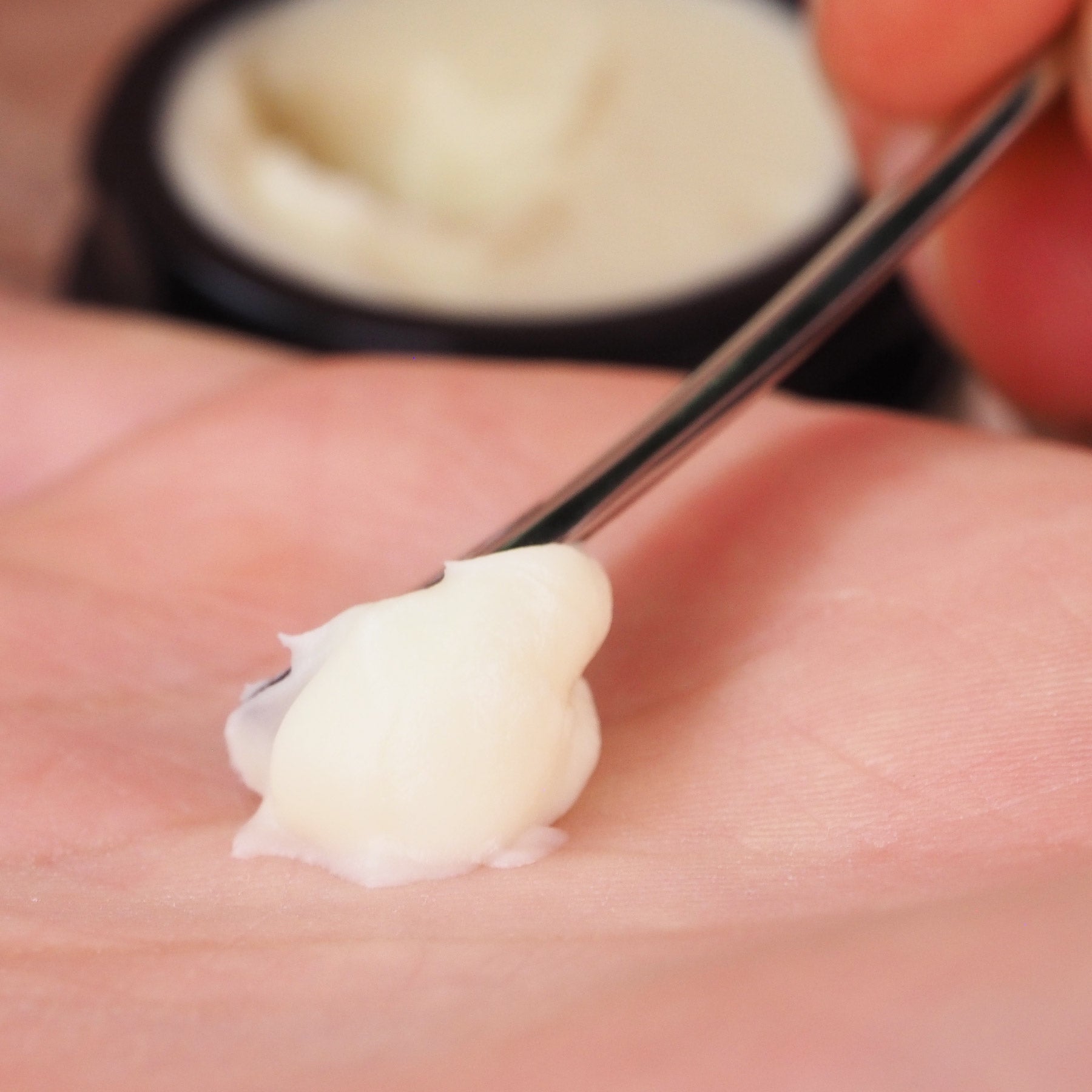 Zur Entnahme  I  Edelstahlspatel