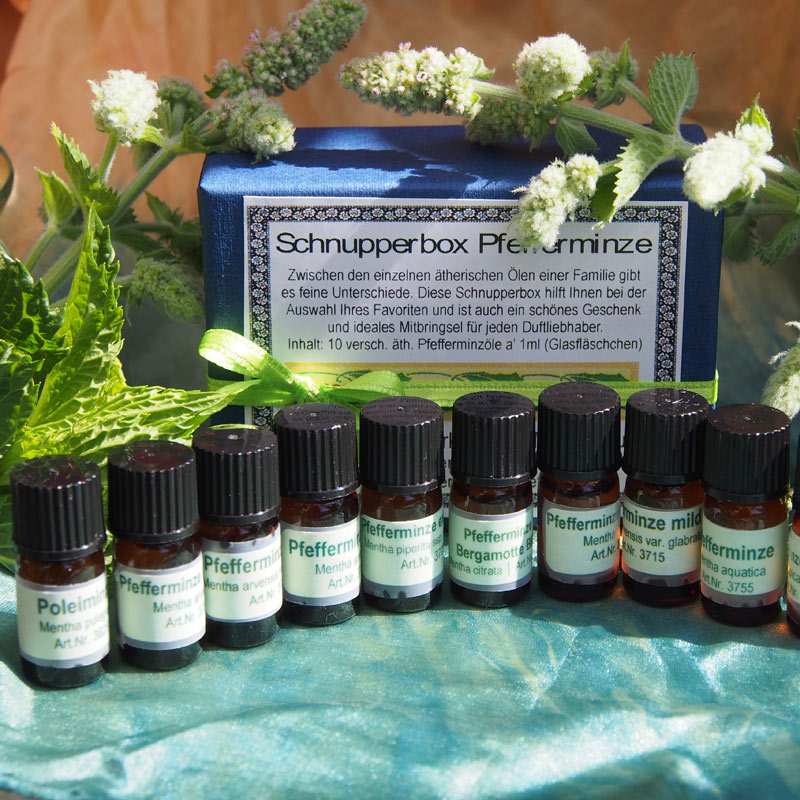 Schnupperbox "Pfefferminze"